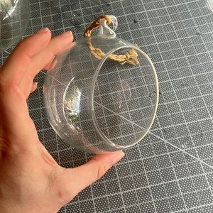 Set of 2 Air Plant Hangers